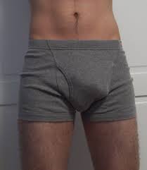 Erect penis in a man's pants
